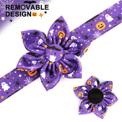Collars with Flowers - PeticaDeals