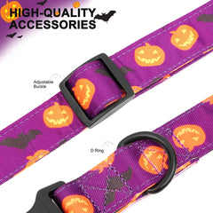 Collars with Flowers - PeticaDeals