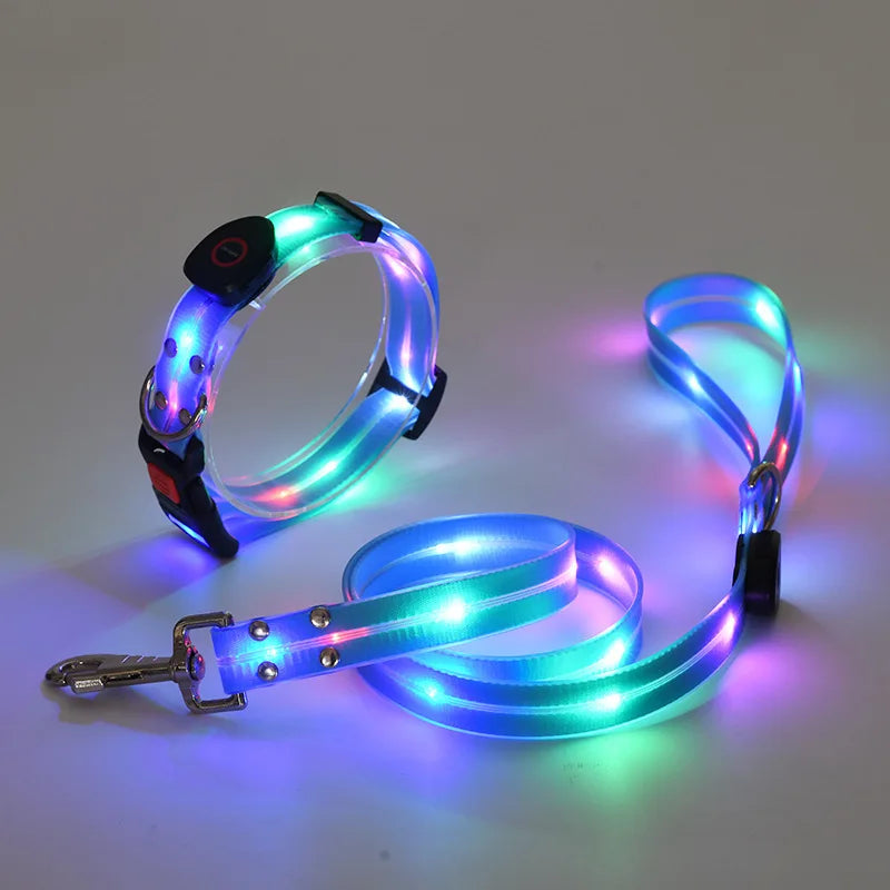 Colorful LED Luminous Collar Rechargeable Luminous Dog Rope Nylon - PeticaDeals