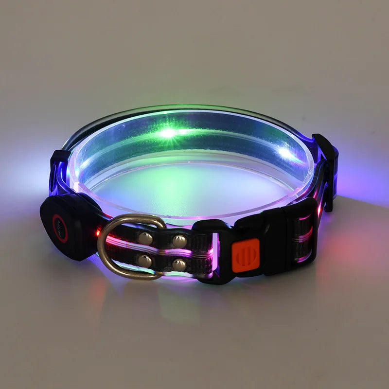 Colorful LED Luminous Collar Rechargeable Luminous Dog Rope Nylon - PeticaDeals