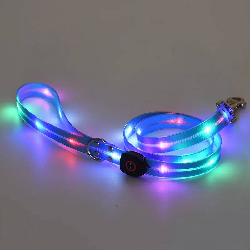 Colorful LED Luminous Collar Rechargeable Luminous Dog Rope Nylon - PeticaDeals