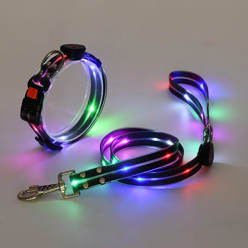 Colorful LED Luminous Collar Rechargeable Luminous Dog Rope Nylon - PeticaDeals