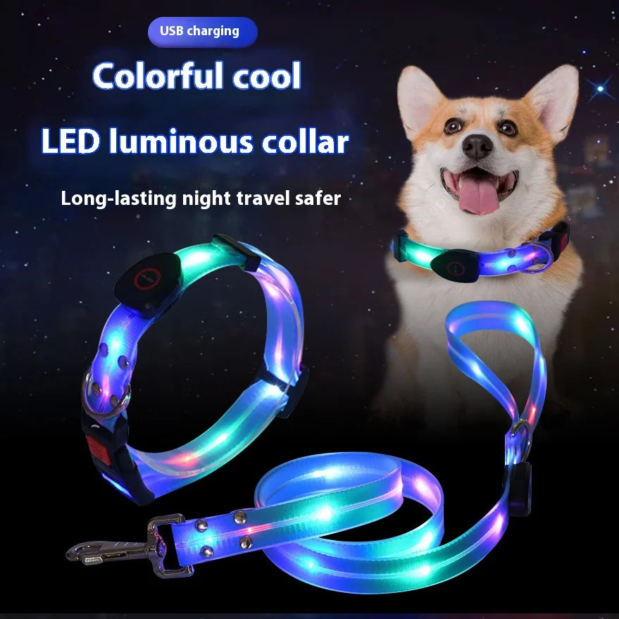 Colorful LED Luminous Collar Rechargeable Luminous Dog Rope Nylon - PeticaDeals