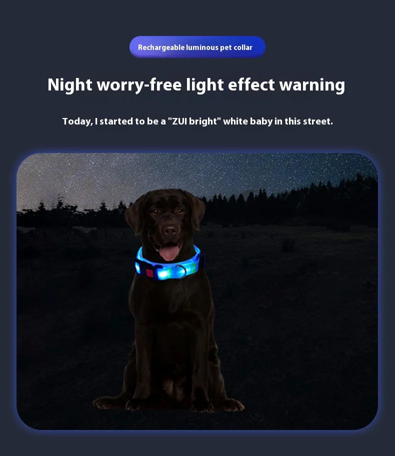 Colorful LED Luminous Collar Rechargeable Luminous Dog Rope Nylon - PeticaDeals