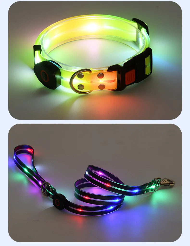 Colorful LED Luminous Collar Rechargeable Luminous Dog Rope Nylon - PeticaDeals