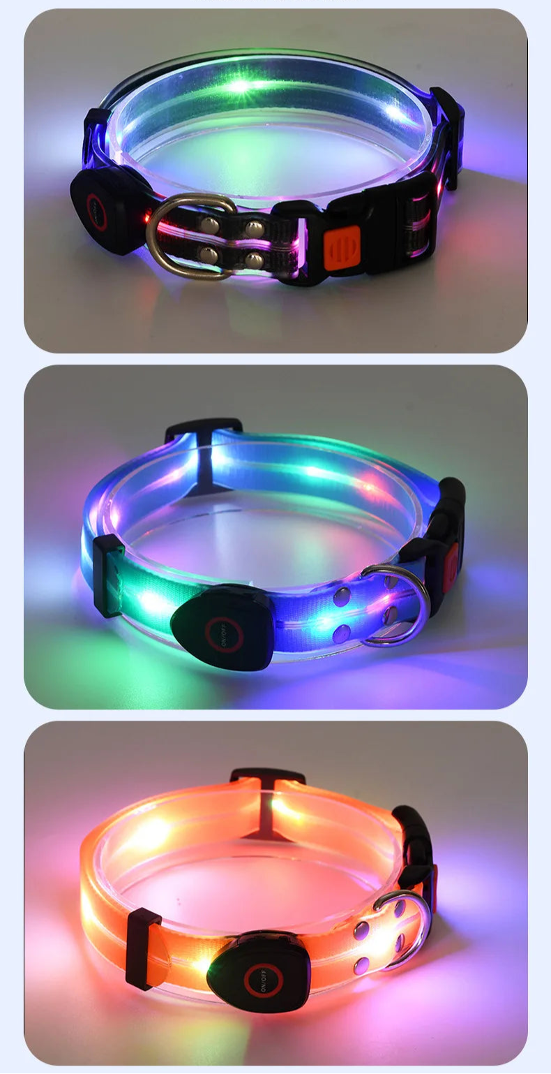 Colorful LED Luminous Collar Rechargeable Luminous Dog Rope Nylon - PeticaDeals
