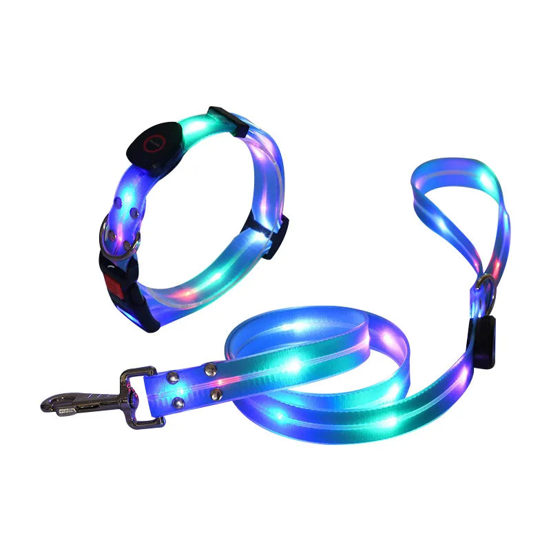 Colorful LED Luminous Collar Rechargeable Luminous Dog Rope Nylon - PeticaDeals