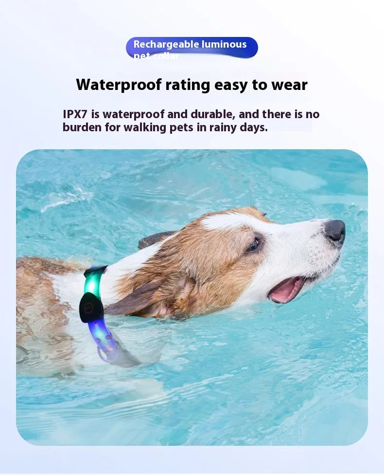 Colorful LED Luminous Collar Rechargeable Luminous Dog Rope Nylon - PeticaDeals