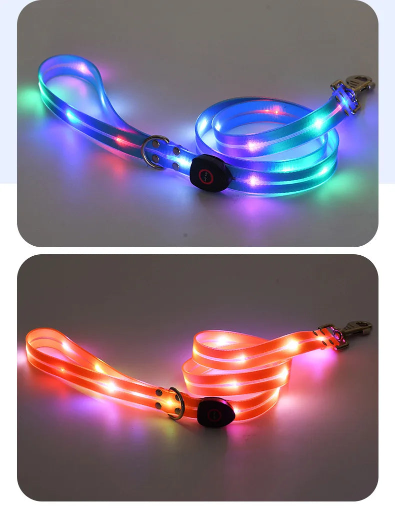 Colorful LED Luminous Collar Rechargeable Luminous Dog Rope Nylon - PeticaDeals