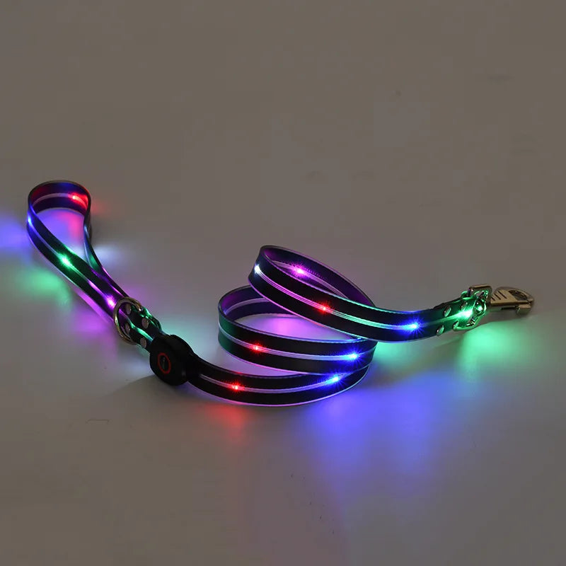 Colorful LED Luminous Collar Rechargeable Luminous Dog Rope Nylon - PeticaDeals