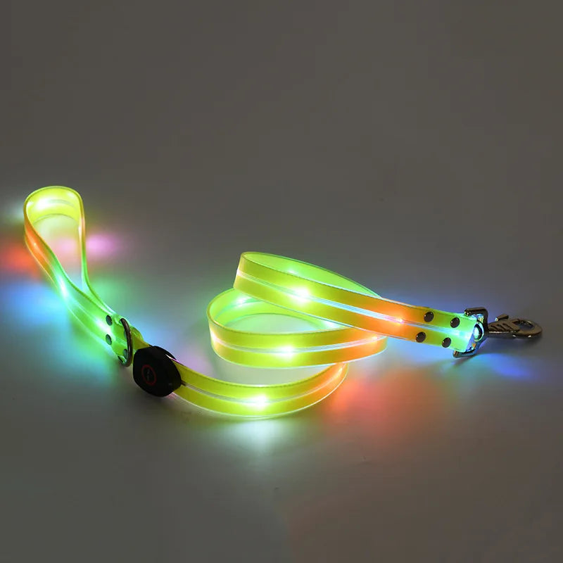 Colorful LED Luminous Collar Rechargeable Luminous Dog Rope Nylon - PeticaDeals