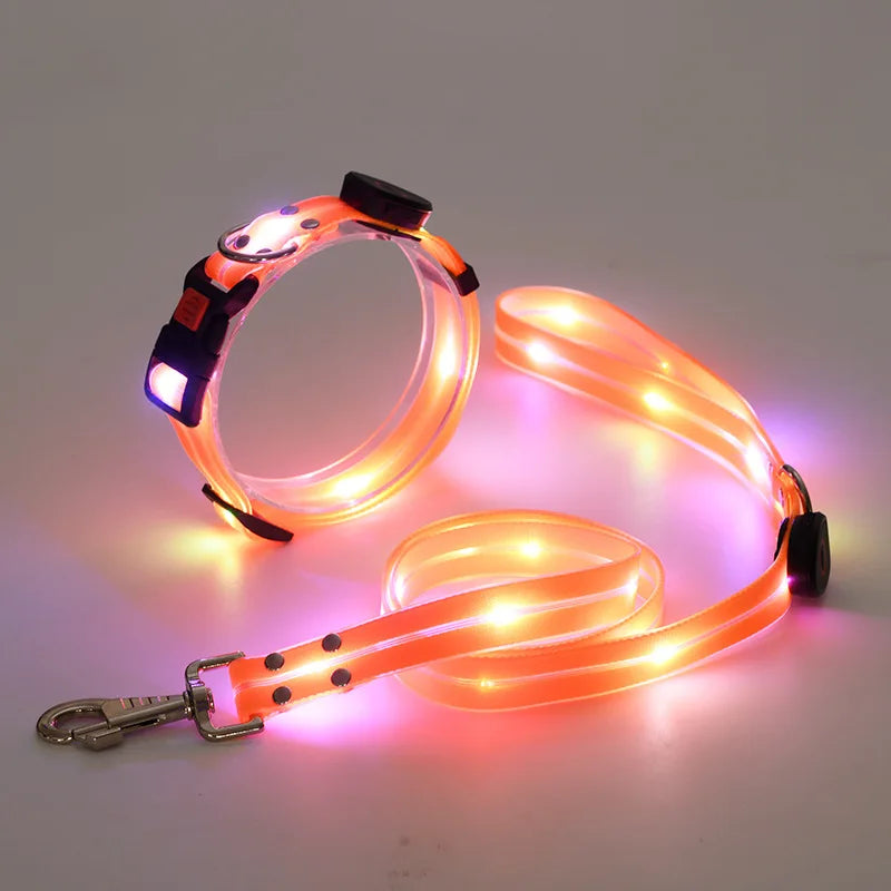 Colorful LED Luminous Collar Rechargeable Luminous Dog Rope Nylon - PeticaDeals