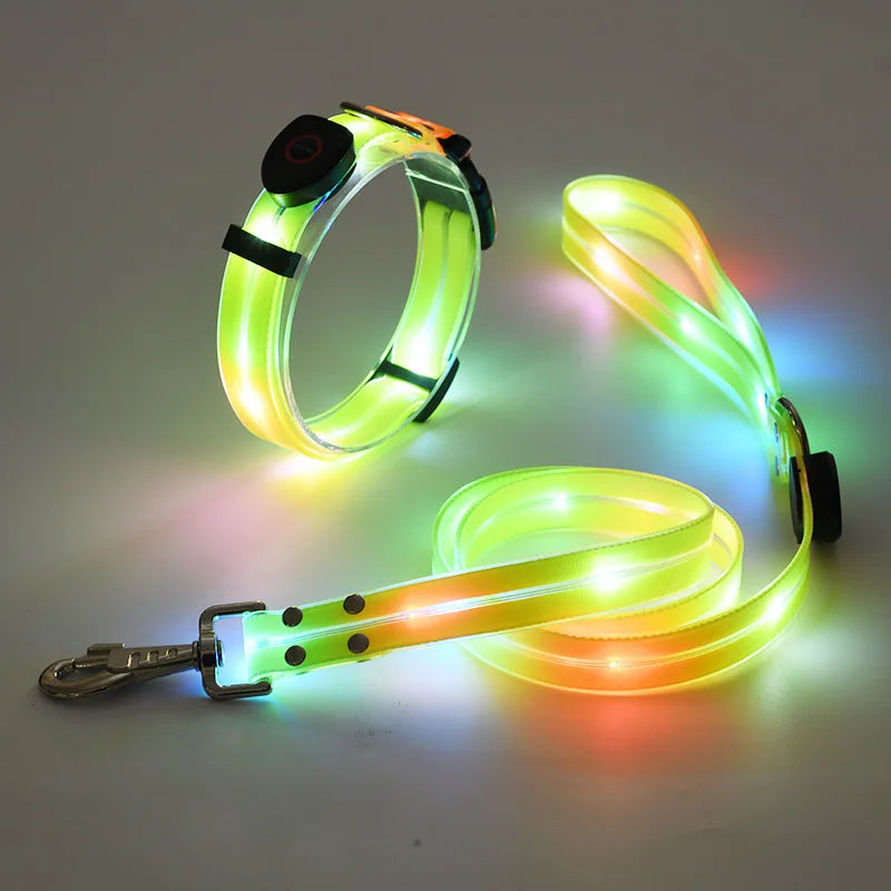 Colorful LED Luminous Collar Rechargeable Luminous Dog Rope Nylon - PeticaDeals