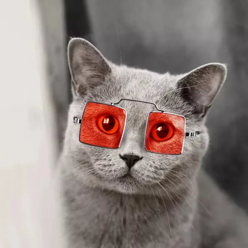 Cool Square Lens Pet Glasses Color Lens - PeticaDeals