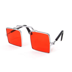 Cool Square Lens Pet Glasses Color Lens - PeticaDeals