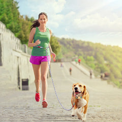 Cotton Pet Leash with Metal Buckle For Dog Walking & Training - PeticaDeals