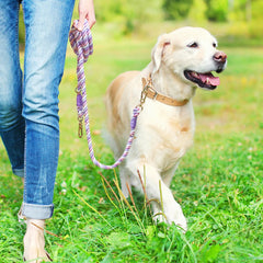Cotton Pet Leash with Metal Buckle For Dog Walking & Training - PeticaDeals