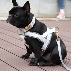 Customized Leather Dog Collar Harness Leash Set - PeticaDeals