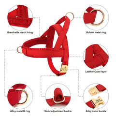 Customized Leather Dog Collar Harness Leash Set - PeticaDeals