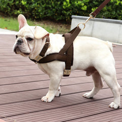 Customized Leather Dog Collar Harness Leash Set - PeticaDeals