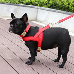 Customized Leather Dog Collar Harness Leash Set - PeticaDeals