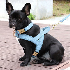 Customized Leather Dog Collar Harness Leash Set - PeticaDeals