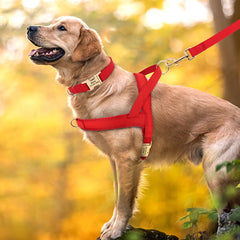Customized Leather Dog Collar Harness Leash Set - PeticaDeals