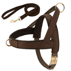 Customized Leather Dog Collar Harness Leash Set - PeticaDeals322836|49319888388372|49319888453908