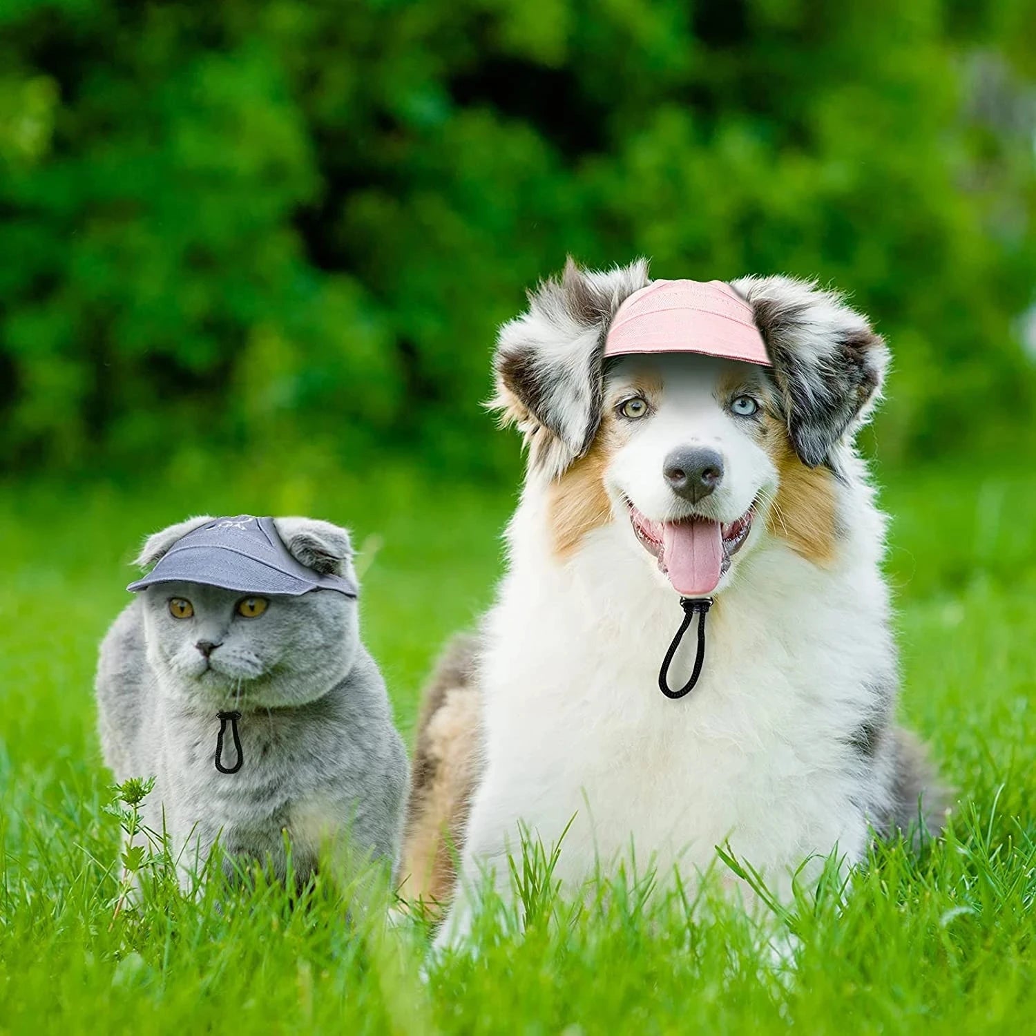 Cute Baseball Cap with Ear Holes for Large Medium Small Dogs - PeticaDeals