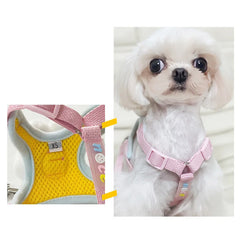 Cute Bear Dog & Cat Leash Set Nylon - PeticaDeals