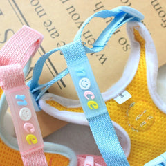 Cute Bear Dog & Cat Leash Set Nylon - PeticaDeals