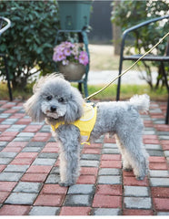 Cute Bee Vest Cats & Small Dog Leash - PeticaDeals