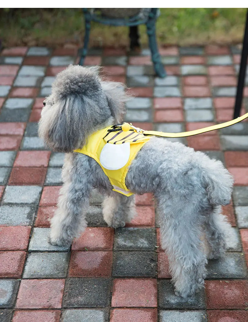 Cute Bee Vest Cats & Small Dog Leash - PeticaDeals