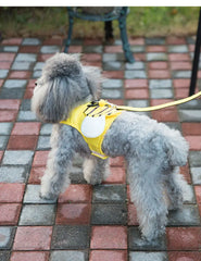 Cute Bee Vest Cats & Small Dog Leash - PeticaDeals