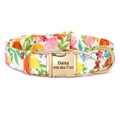 Cute Bowknot Flower Pet ID Collars - PeticaDeals
