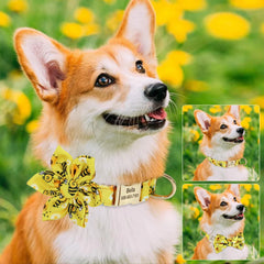 Cute Bowknot Flower Pet ID Collars - PeticaDeals