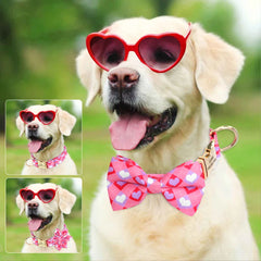 Cute Bowknot Flower Pet ID Collars - PeticaDeals