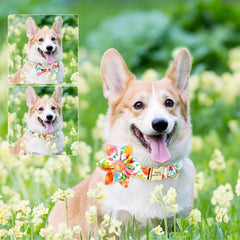 Cute Bowknot Flower Pet ID Collars - PeticaDeals