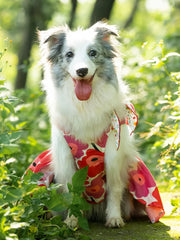 Cute Clothes Summer Flower Skirt For Cat & Dog - PeticaDeals