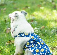 Cute Clothes Summer Flower Skirt For Cat & Dog - PeticaDeals