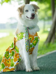 Cute Clothes Summer Flower Skirt For Cat & Dog - PeticaDeals