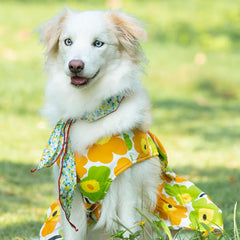 Cute Clothes Summer Flower Skirt For Cat & Dog - PeticaDeals