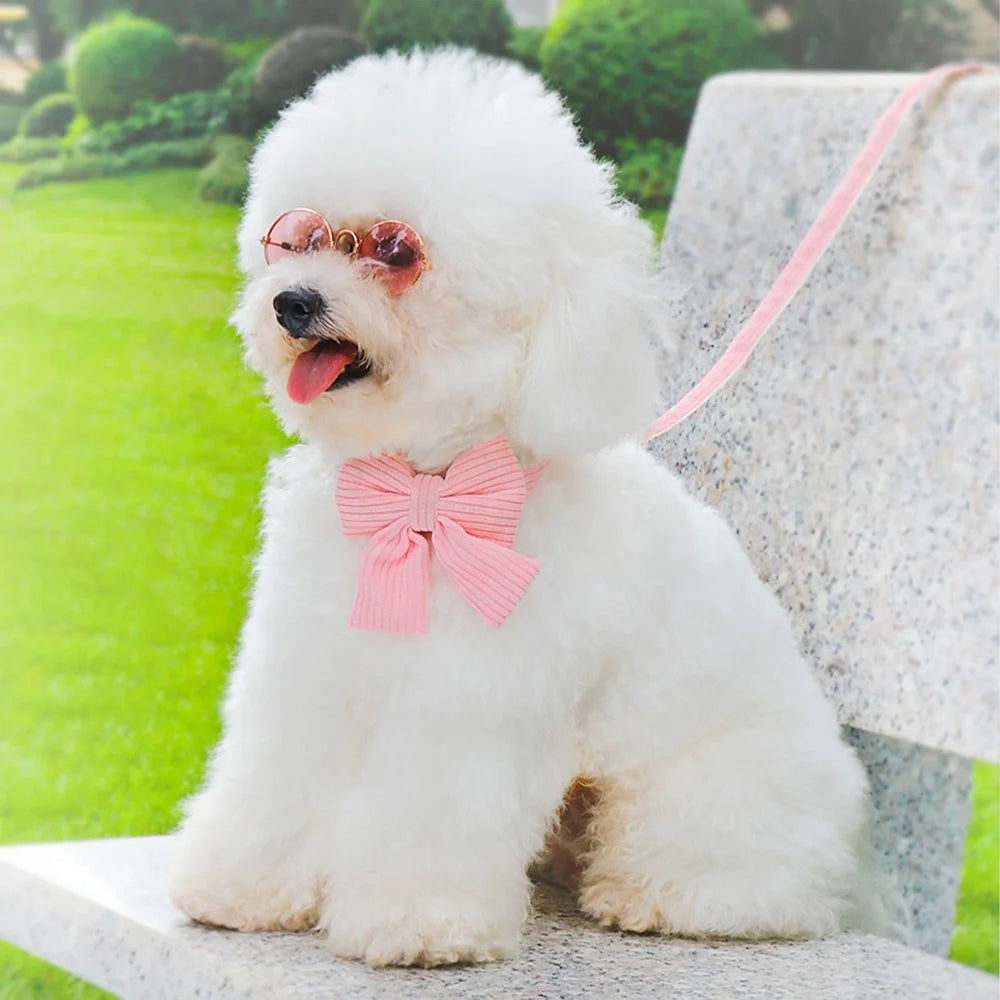 Cute Dog Collar Leash Set With Bowknot Soft Velvet - PeticaDeals
