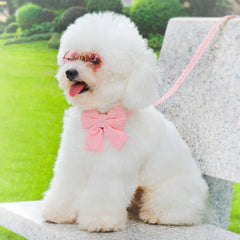 Cute Dog Collar Leash Set With Bowknot Soft Velvet - PeticaDeals