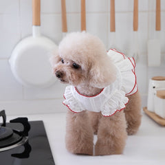 Cute Jacquard Bud Edge White Cotton Short Skirt - PeticaDeals