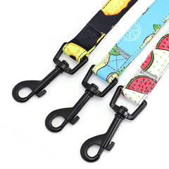 Cute Leash Rope Soft Nylon Walking Leashes Strap Pet - PeticaDeals