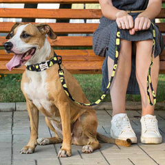 Cute Leash Rope Soft Nylon Walking Leashes Strap Pet - PeticaDeals