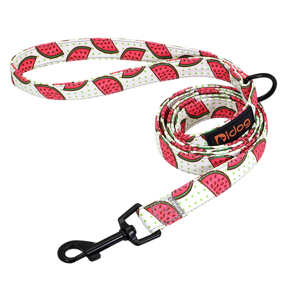 Cute Leash Rope Soft Nylon Walking Leashes Strap Pet - PeticaDeals