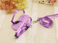 Cute Pet Dog Leashes and Collars Set - PeticaDeals