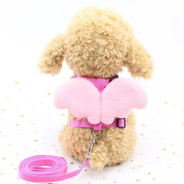 Cute Pet Dog Leashes and Collars Set - PeticaDeals